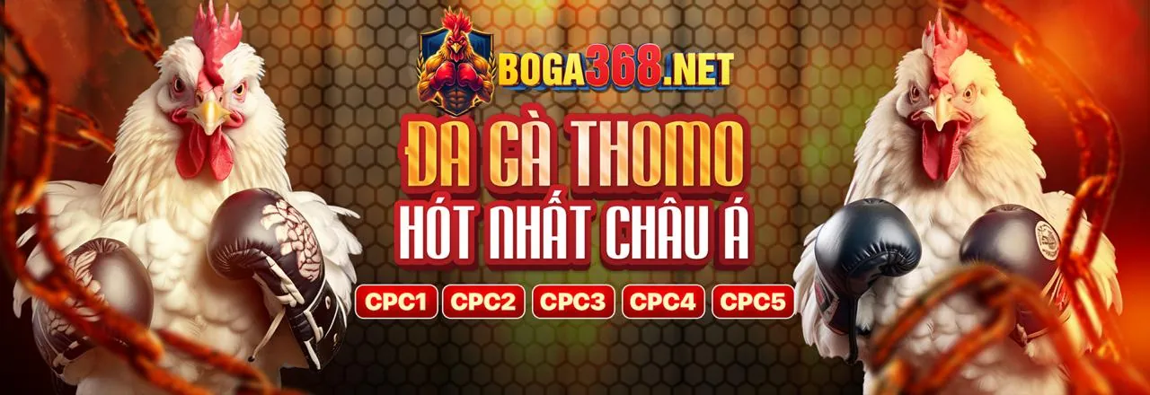 Hình ảnh tổng quan về Bet188, nhà cái hàng đầu tại Việt Nam